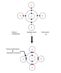 <p>CH4</p><ul><li><p>Carbon wants to gain 4 electrons</p></li><li><p>Hydrogen wants to gain 1 electron</p></li><li><p>One carbon can bond and share electrons with four hydrogens</p></li></ul><p></p>