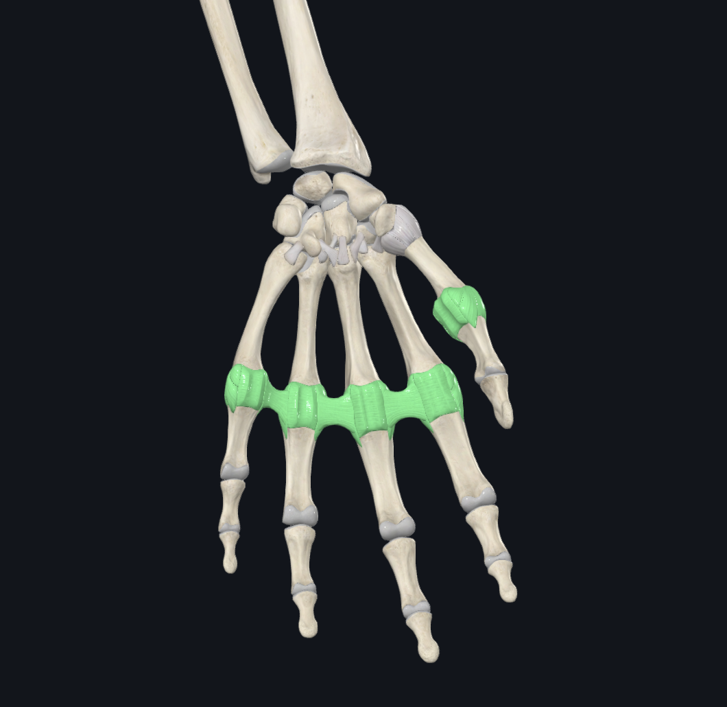 <p>What is this joint?</p>