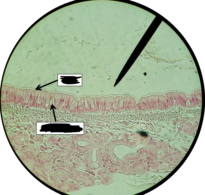<p>What is this?</p>