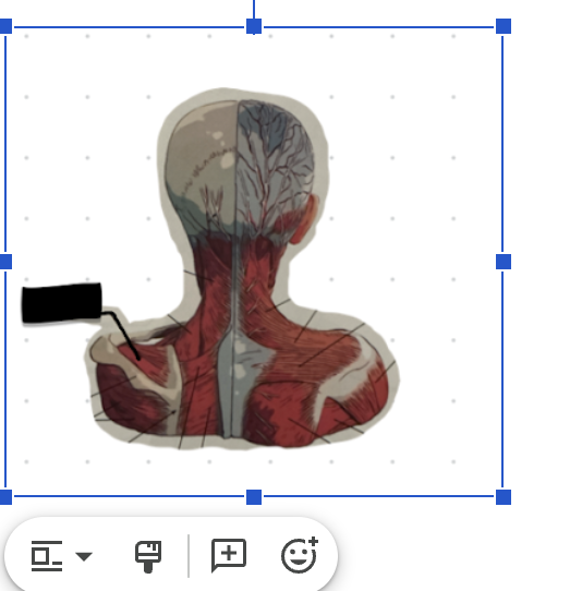 term image