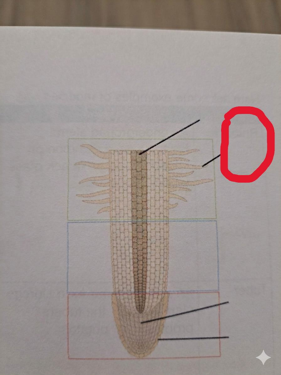 <p>What is this?</p>