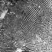 <p>what type of fingerprint is this?</p>