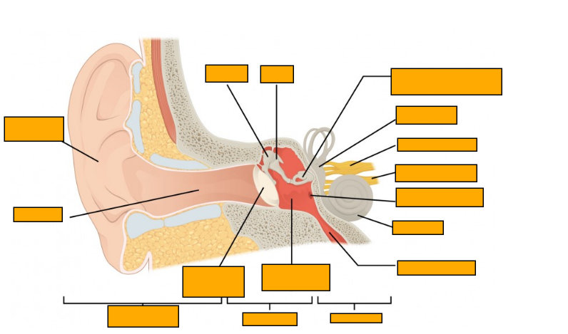 <p>Label this diagram</p>