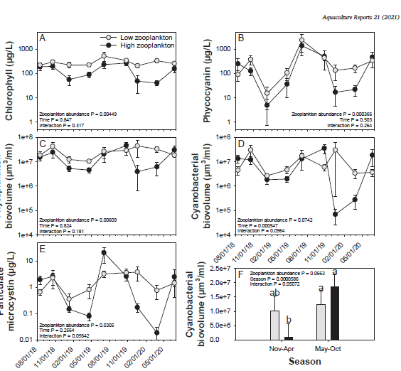 <p>What is the summary of the finding in the Belfiore Case Study</p>