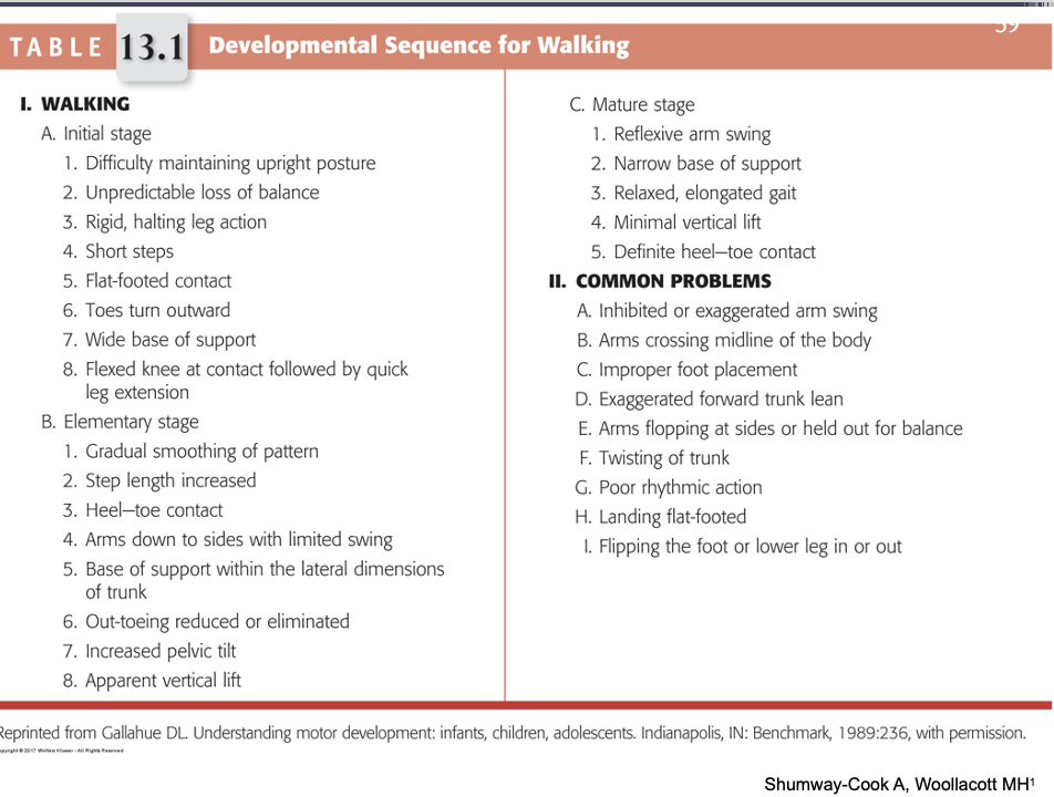 <p><span>Chart indicates the developmental sequence of walking.</span></p>