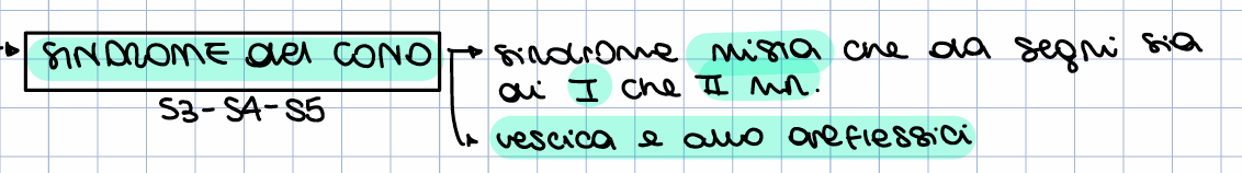 <p>Il cono è allora l'ultima porzione del midollo si trova una parte di canale vertebrale occupato dal </p><p>midollo e una parte di canale vertebrale occupato dalla la parte iniziale della cauda equina. </p><p>Quindi troviamo nello stesso punto anatomico la compresenza di sistema nervoso centrale e </p><p>sistema nervoso periferico, per cui la sindrome del cono è una sindrome mista con interessamento </p><p>motorio e sensitivo che può essere completo o incompleto seconda che la lesione delle </p><p>componenti nervose all'interno del canale vertebrale sia totale o no, ma ho la presenza nel </p><p>territorio sottolesionale sia di segni tipici di una lesione midollare sia di segni tipici di una lesione </p><p>periferica. </p><p>Inoltre vi sono vescica e alvo ariflessici perché la vescica e l'alvo sono innervati dalle radici che </p><p>fuoriescono più in basso e quindi in questo punto a livello del cono per quanto riguarda le </p><p>componenti nervose che controllano vesciche e alvo avrò una lesione di tipo periferico.</p>