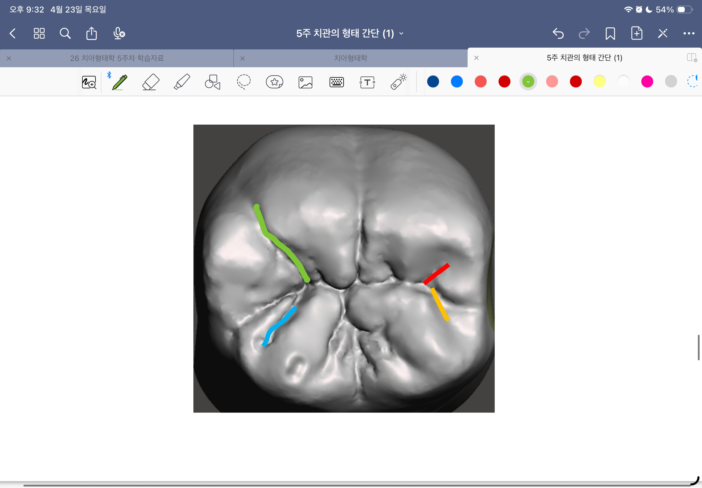<p>빨간 선(한글, 영문)</p>