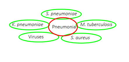 <p>DIAGRAM ON SLIDE 23</p>