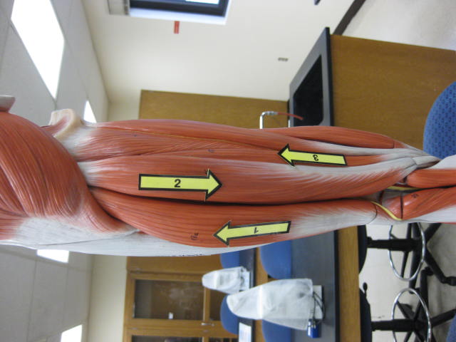 <p>What is at #3?</p>