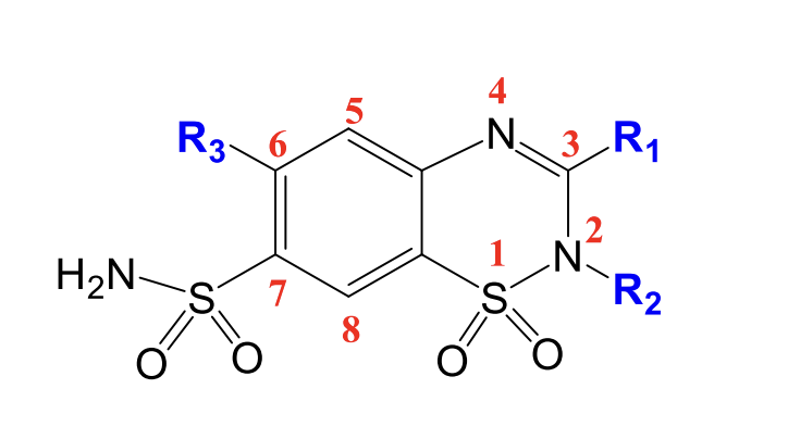 <ul><li><p>Sulphonamide</p></li><li><p>Benzo (phenol ring)</p></li><li><p>2N position: Alkyl substitution  </p></li><li><p>Position 3: Lipophilic group </p></li><li><p>Position 6: EWG </p></li><li><p>Two fused rings</p></li><li><p>3,4-dihydro derivative</p></li></ul><p></p>