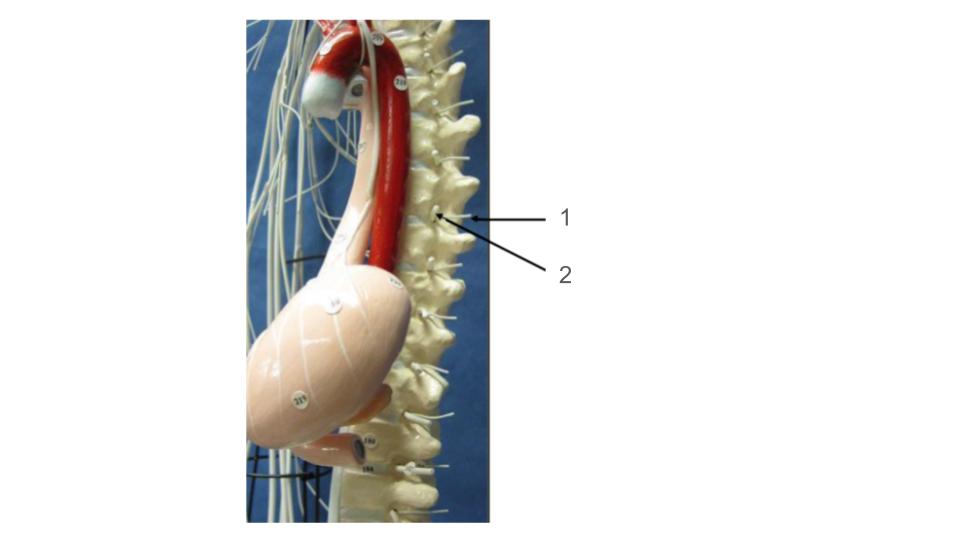 <p>2, structure</p>
