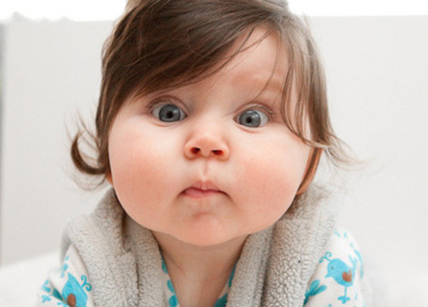 <p>(descriptive English) má bầu bĩnh Ví dụ: The baby has chubby cheeks.</p>