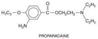 <p>Ester or Amide?</p>