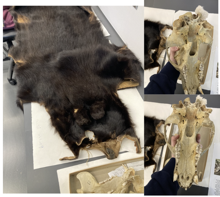 <p>What is this?</p>