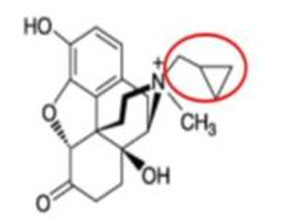 <p>[OPIOIDS]</p><p>a. Naloxone</p><p>b. Naltrexone</p><p>c. Methylnaltrexone</p><p>d. Oxycodone</p><p>e. Oxymorphone</p>