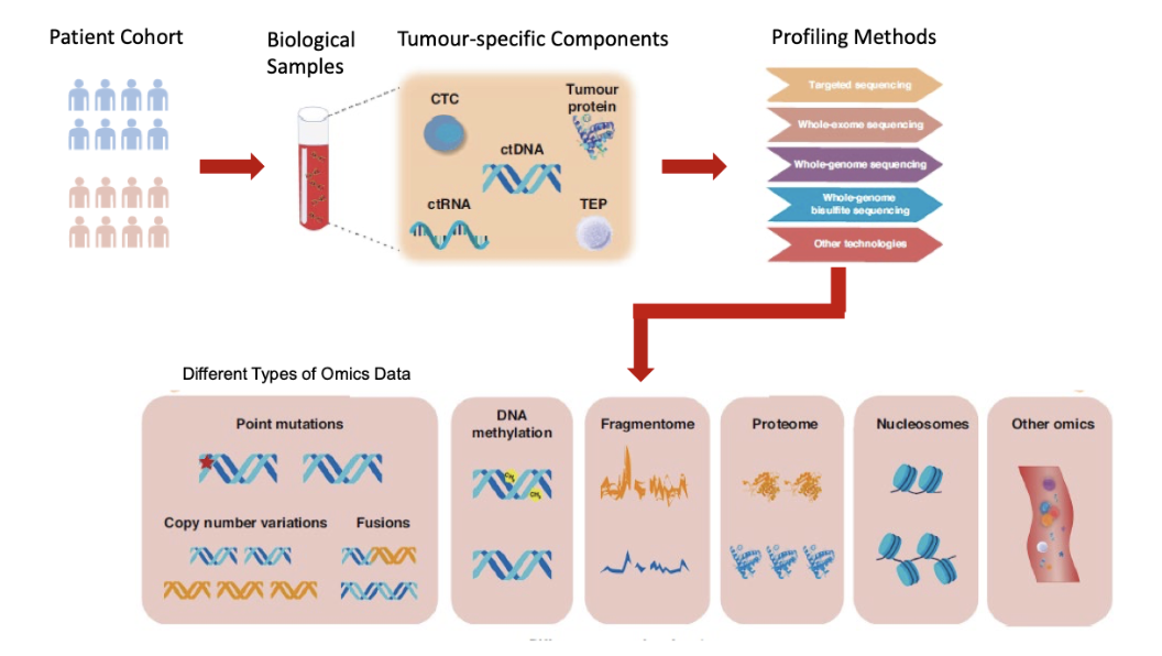 <p><span style="background-color: inherit; line-height: 22px; color: windowtext;">Can look at DNA from tumour cells in liquid</span><span style="line-height: 22px; color: windowtext;">&nbsp;</span></p><p class="Paragraph SCXO138924907 BCX0" style="text-align: left;"><span style="background-color: inherit; line-height: 22px; color: windowtext;">Cancer cells released into blood stream</span><span style="line-height: 22px; color: windowtext;">&nbsp;</span></p><ul><li><p class="Paragraph SCXO138924907 BCX0" style="text-align: left;"><span style="background-color: inherit; line-height: 22px; color: windowtext;">When cancer cells they release DNA which enters the bloodstream (circulating tumour DNA)</span><span style="line-height: 22px; color: windowtext;">&nbsp;</span></p></li></ul><p></p>