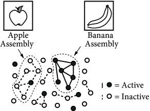 <p>Neurons that are <u><mark data-color="#f7f7de" style="background-color: rgb(247, 247, 222); color: inherit;">repeatedly active together can develop stronger connections.</mark></u></p>