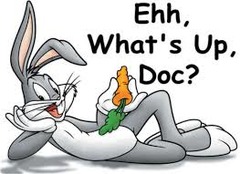 <p>What's happening?; What's going on?</p>