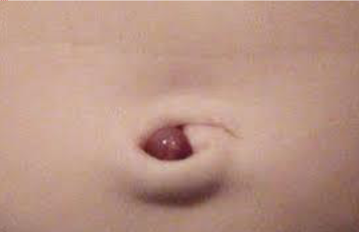 <p>Wat is dit?</p>