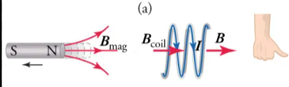 <p><strong><u>Right hand rule</u></strong> if bringing <strong><u>magnet away from coil</u></strong></p>
