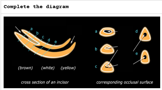 <p>.</p>