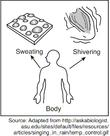 <p><br><span>Changes in external temperatures often result in a person either sweating or shivering, as represented in the diagram below.</span><br></p><p>These responses are one way…</p>