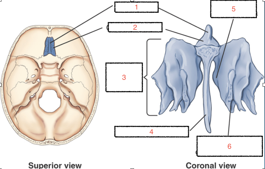 <p>What are the structures 1</p>