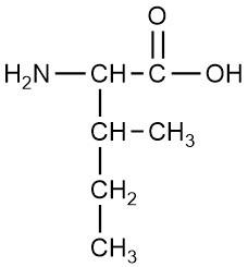 <p><strong>Select Any That Apply</strong></p><p>Due to its side chain, this amino acid can be classified as ______________. </p><p><span>A. nonpolar</span></p><p><span><strong>Option B</strong></span></p><p><span>aliphatic</span></p><p><span><strong>Option C</strong></span></p><p><span>aromatic</span></p><p><span><strong>Option D</strong></span></p><p><span>polar</span></p><p><span><strong>Option E</strong></span></p><p><span>basic</span></p><p><span><strong>Option F</strong></span></p><p><span>acidic</span></p>
