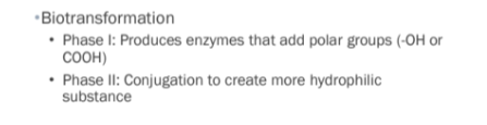 <p>look into biotransformation more</p>