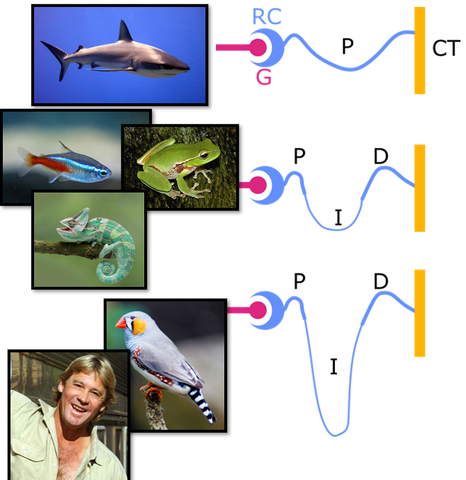 <p>salt concentration requirements from environment</p>