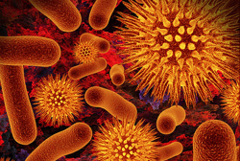 <p>Pathogen</p>