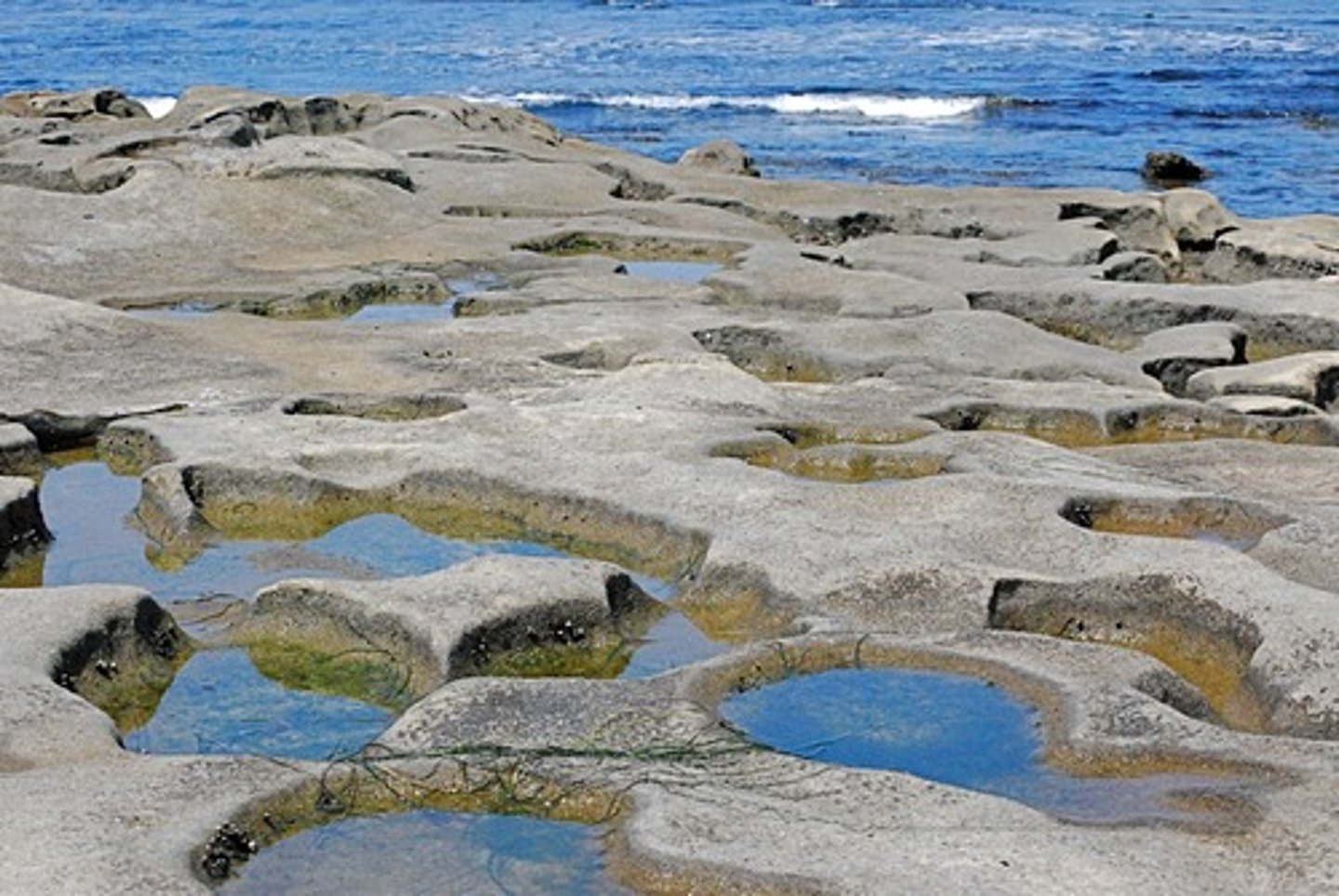 <p>Water pools left behind when the tide goes out to sea.</p>