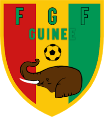 <p>What is Guinée's soccer team known as?</p>