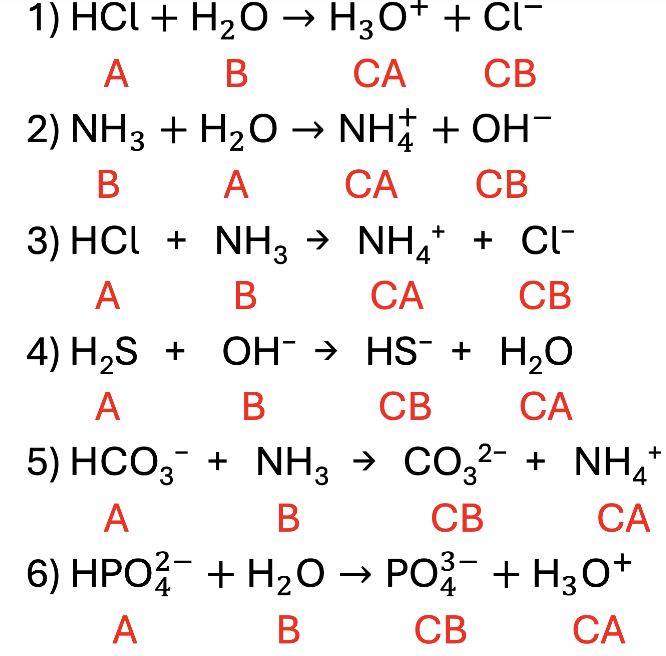 <p>Acid Base Answers!</p>