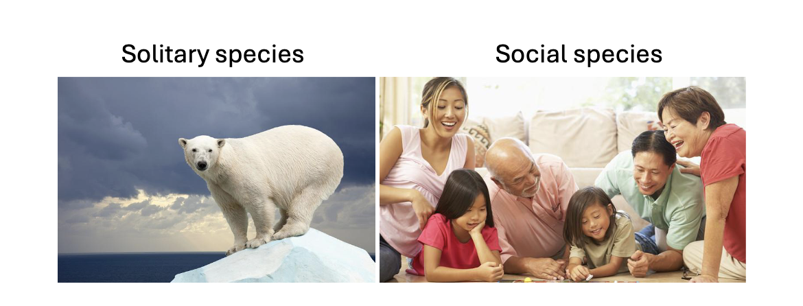 <ul><li><p>List</p><ul><li><p>Solitary species </p></li><li><p>Social species</p></li></ul></li><li><p>Our <strong>ability to cooperate</strong> is one of the major reasons we succeed as a species.</p></li><li><p>Our ability to cooperate comes with strings attached.</p></li></ul><p></p>