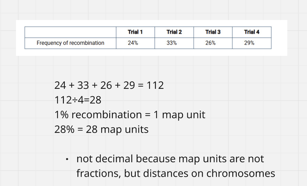 <p>B) 28 map units</p>