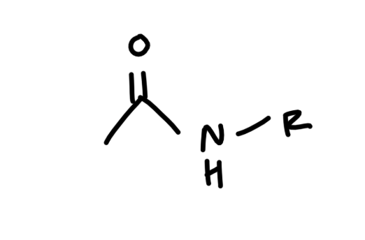 <p>think carboxylic acid but OH group replaced by NHR</p>