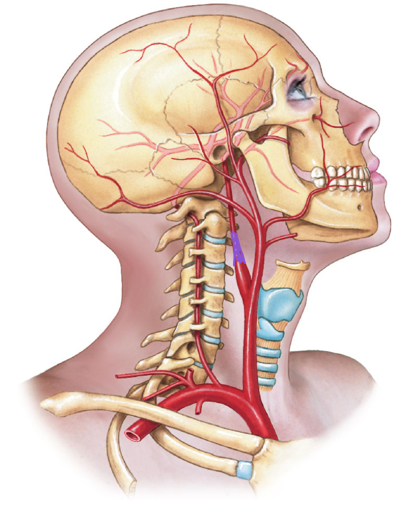 <p>diagram </p>