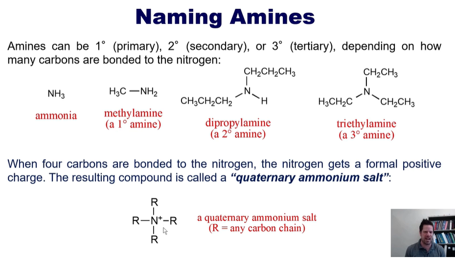 <p>-NH2</p><p></p>