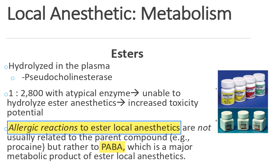 <p>reaction to PABA </p>