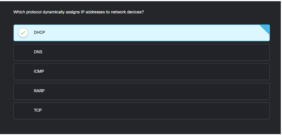 <p>DHCP</p>