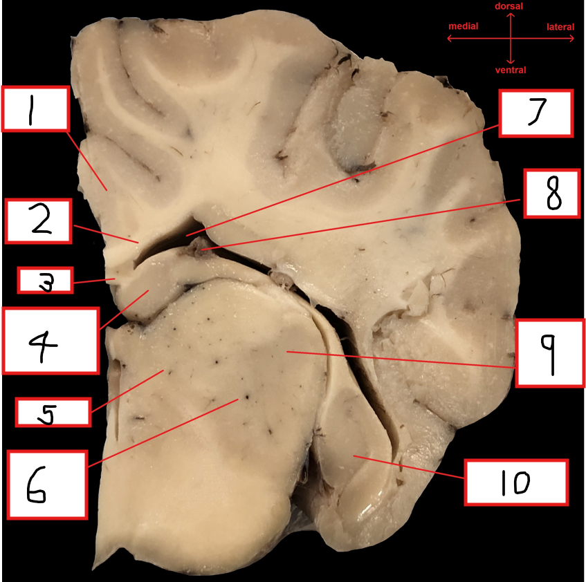 <p>5</p>