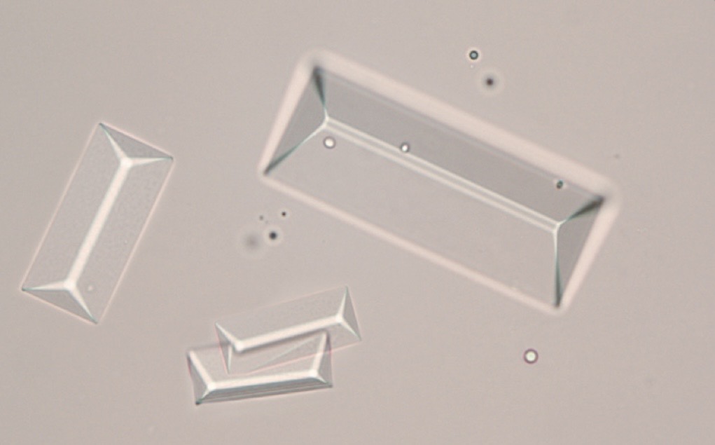 <p>What crystal is this?</p>
