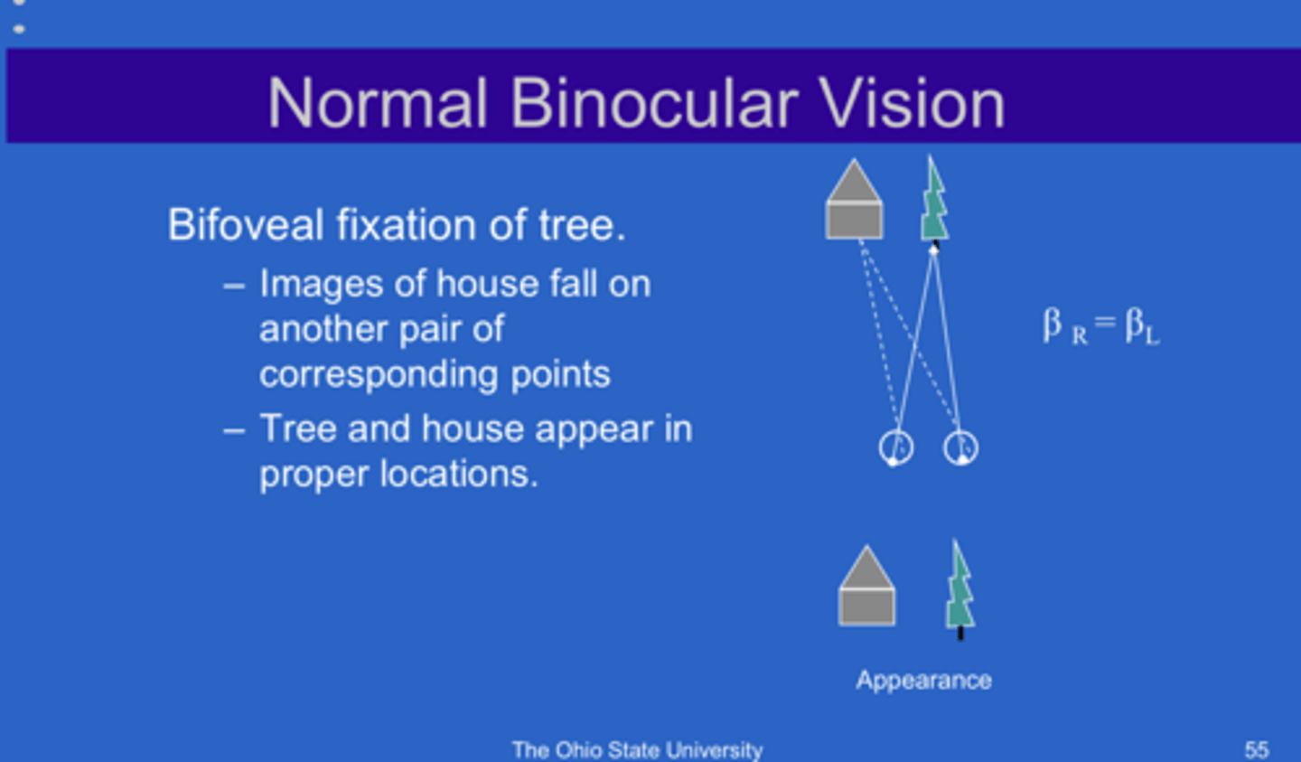 <p>If the images of the house fall on another pair of corresponding points, how do we perceive the house?</p>