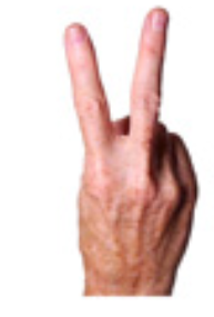 <p>palm facing me hold up pointer and middle finger</p>