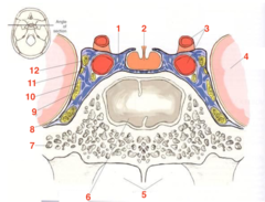 <p>What structure is 5?</p>