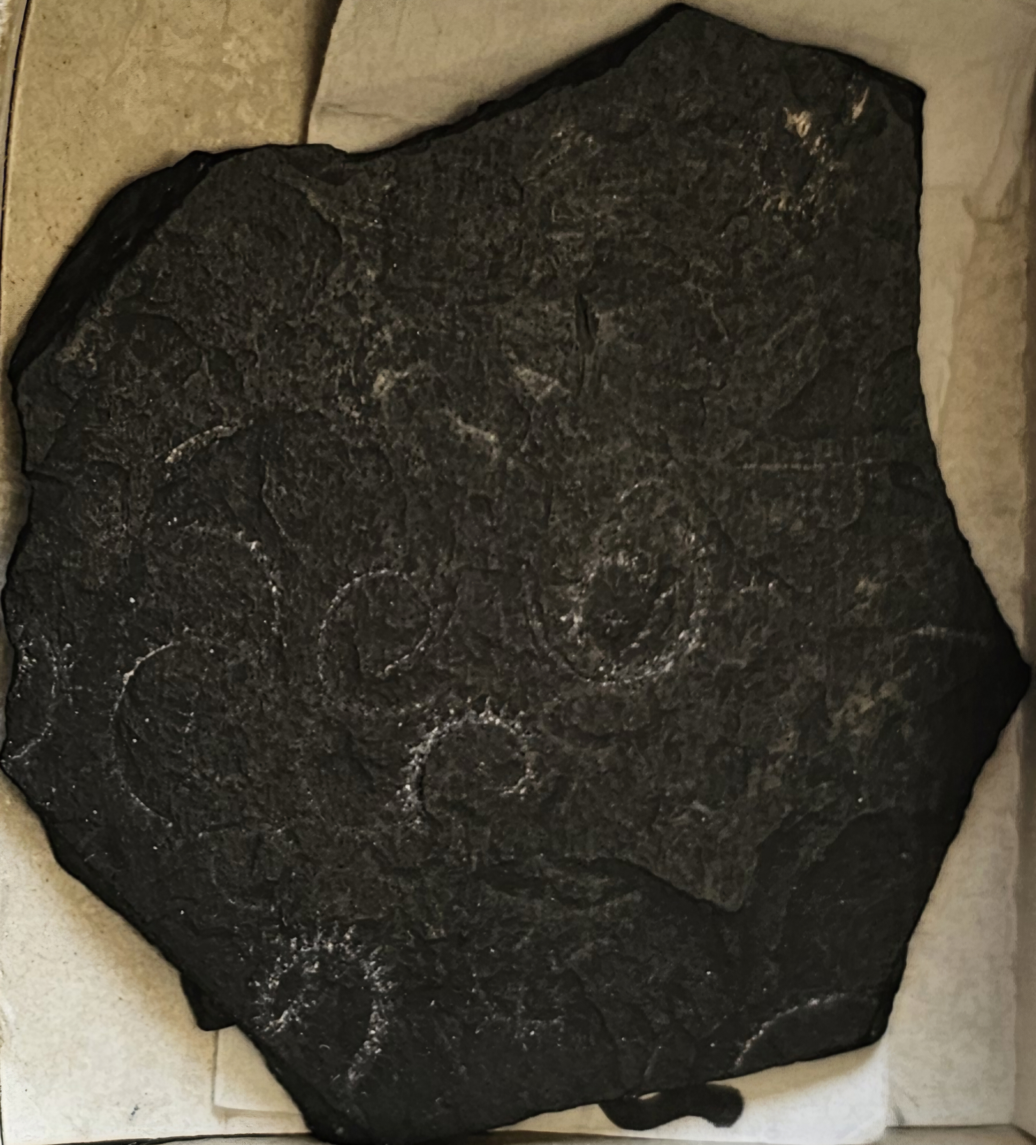 knowt flashcard image