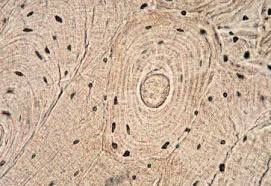 <p>1- what do you see<br>2- where can it be found</p>