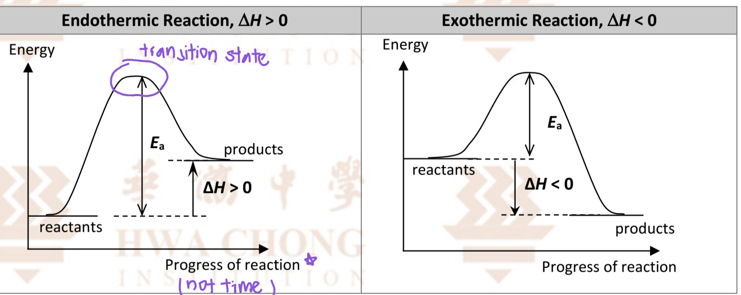 <p>*Different from energy level diagram</p><p></p><p class="has-focus">Activation energy (Ea) </p><ul><li><p class="has-focus">It is the minimum energy which the reacting particles must possess in order to overcome the energy barrier before becoming products</p></li></ul><p></p>