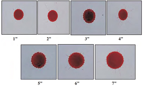 <p>Drops formed only by gravity</p>